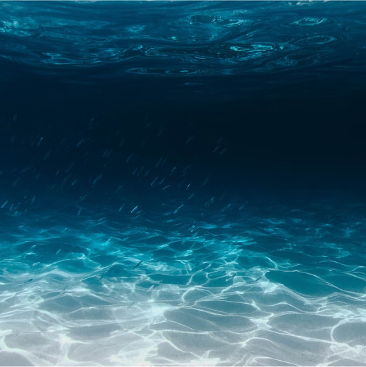 Ocean Underwater