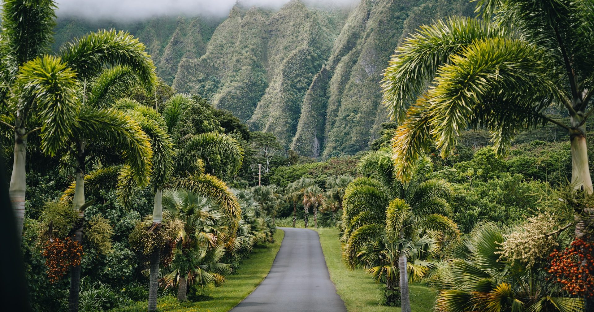 The Best Food at Time Out Market Lisbon | A Taste of Adventure