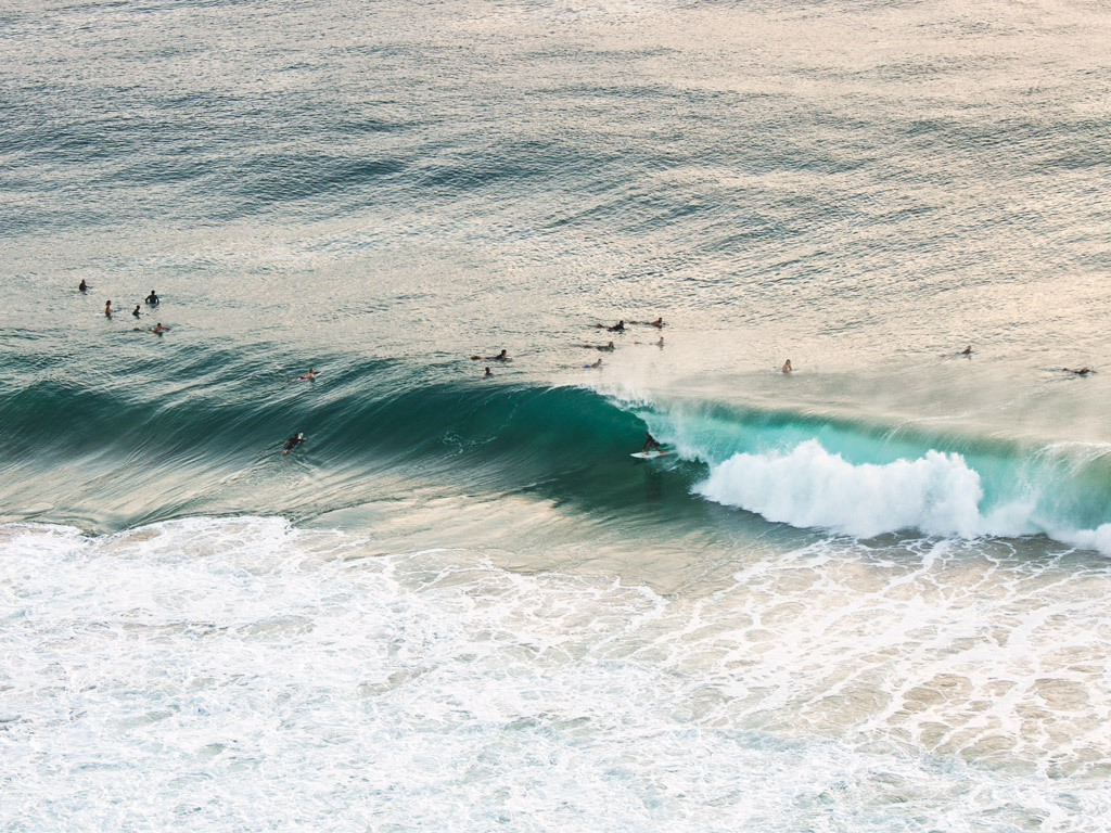 Surfers in the ocean