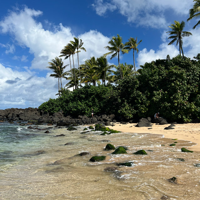Laniakea Beach
