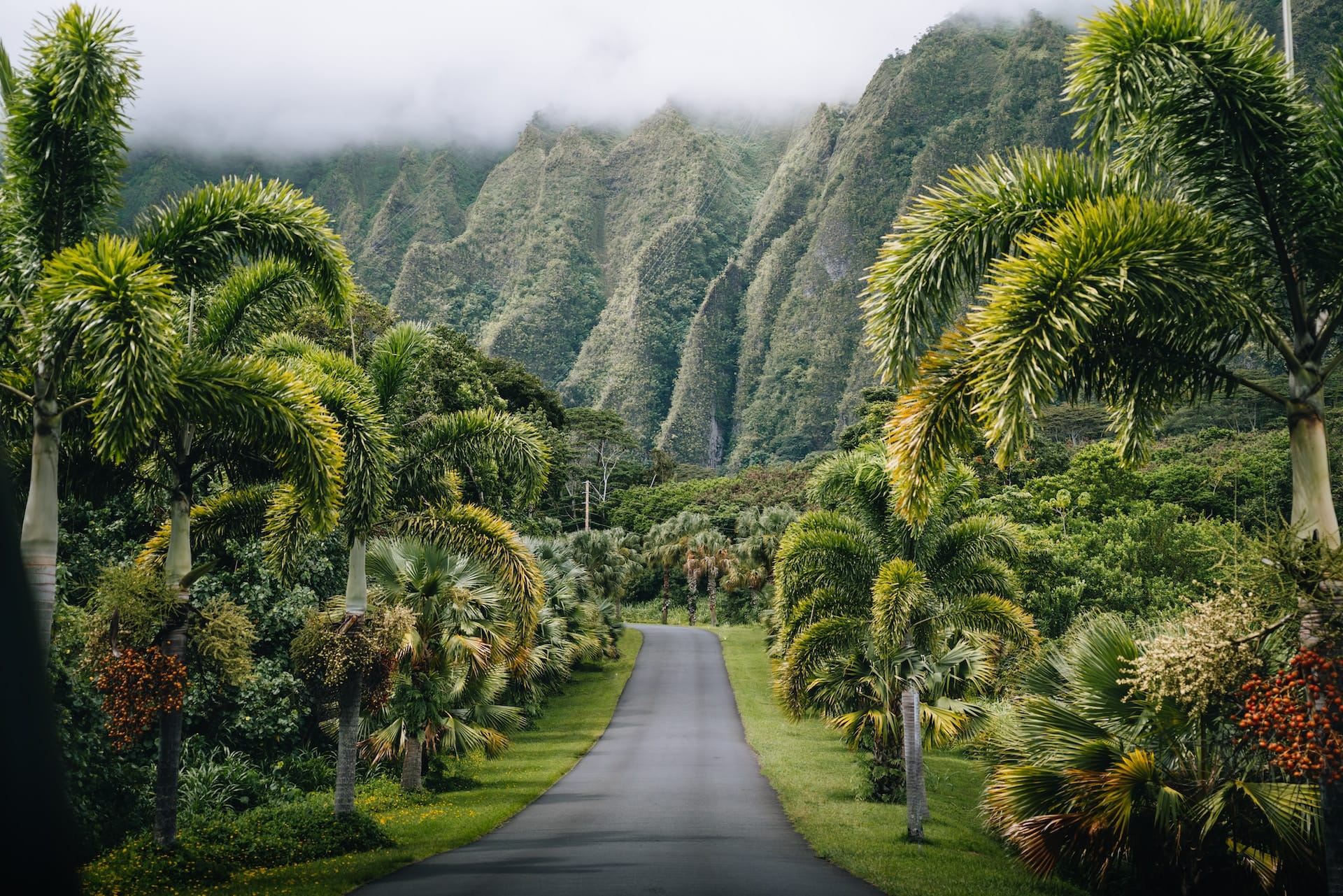 Ho'omaluhia botanical garden, O'ahu, Hawaii