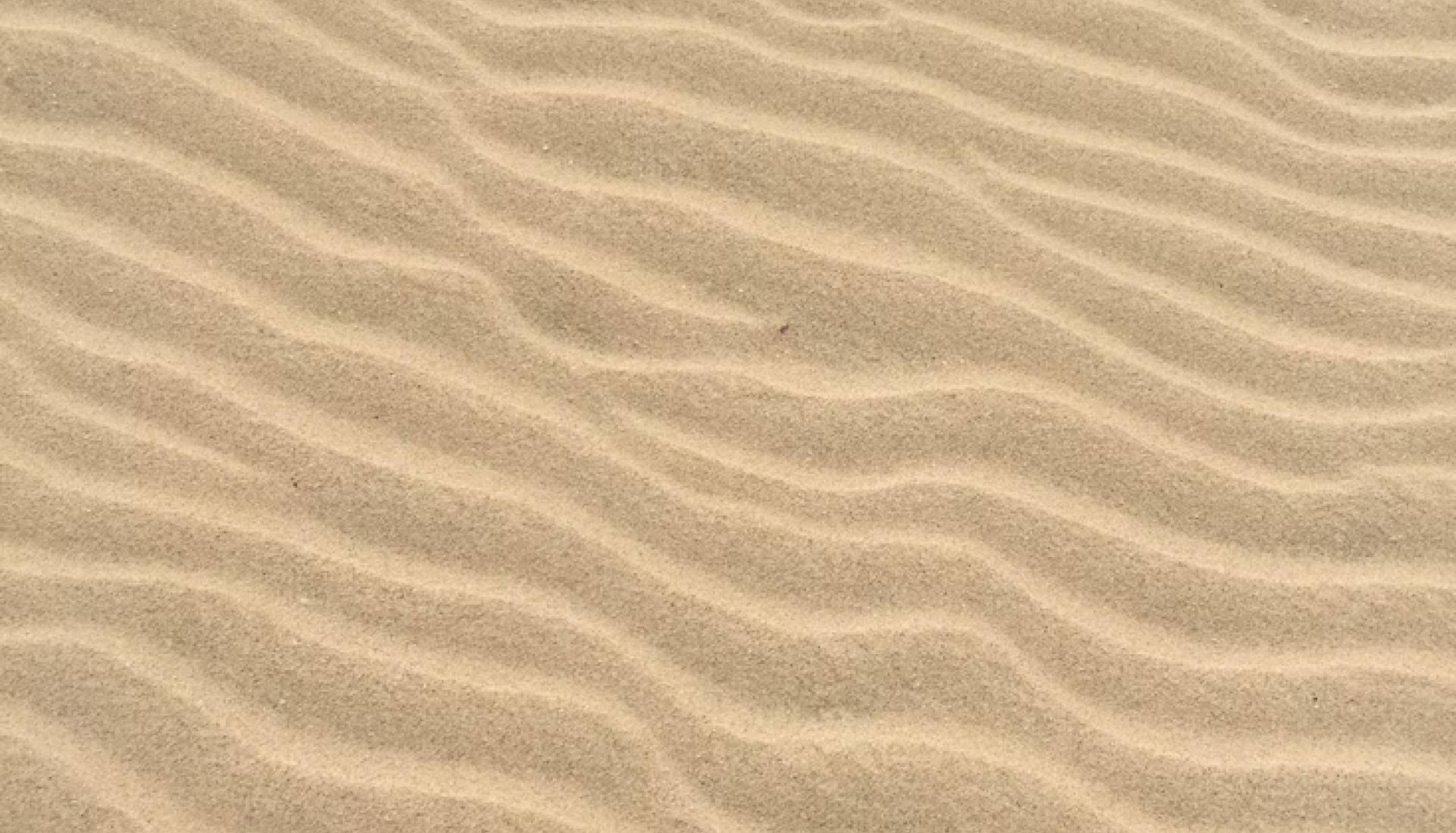 Sand Texture