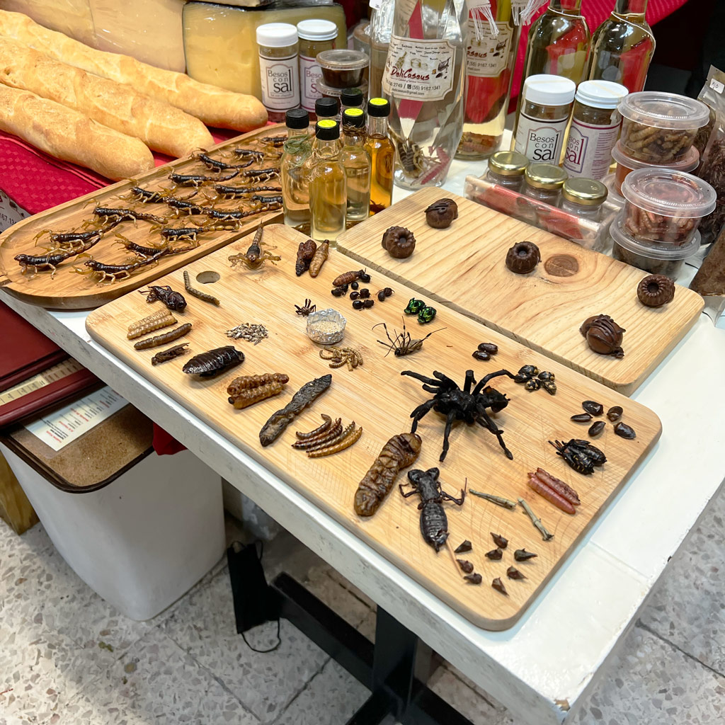 Edible insects at Mercado de San Juan, Mexico City