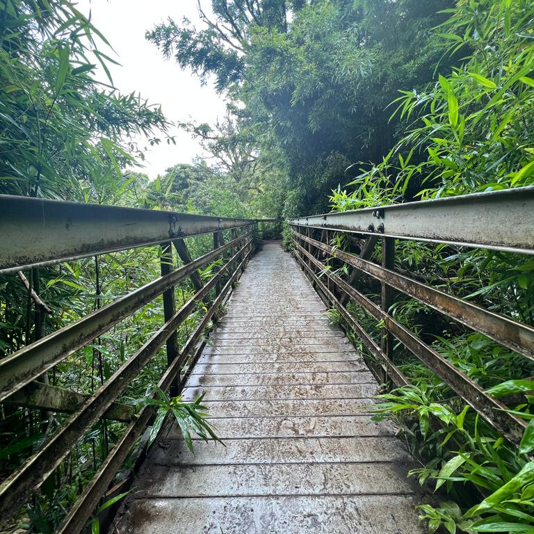 Pipiwai Trail, Haleakalā National Park, Maui