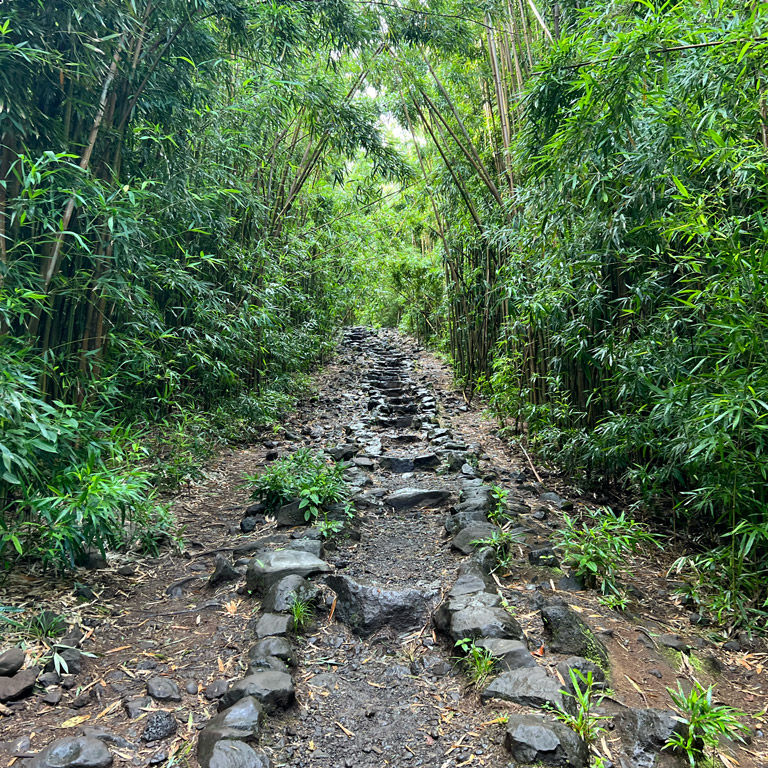 Pipiwai Trail, Haleakalā National Park, Maui
