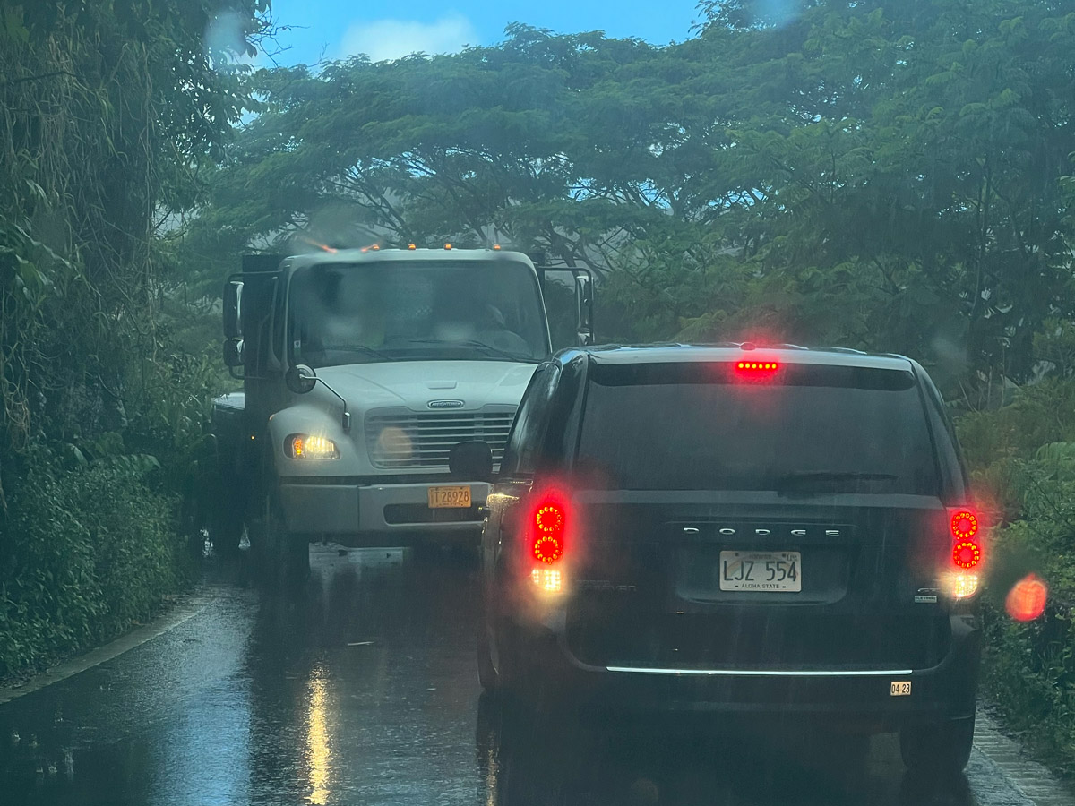 Driving on the Road to Hana, Maui
