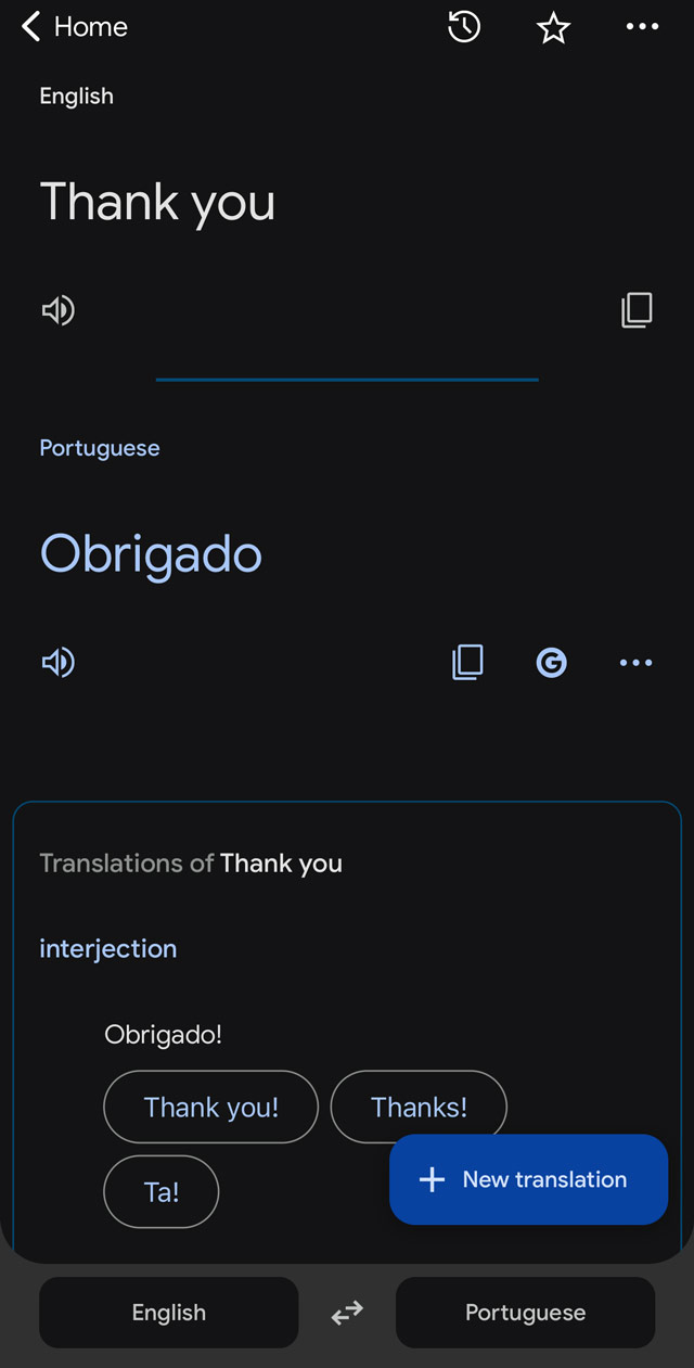 Screenshot of Google Translate app