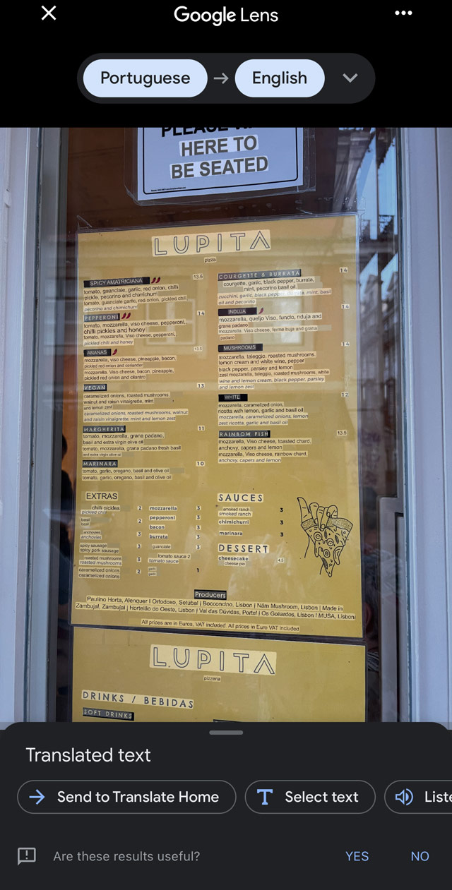 Screenshot of Google Translate app translating an image