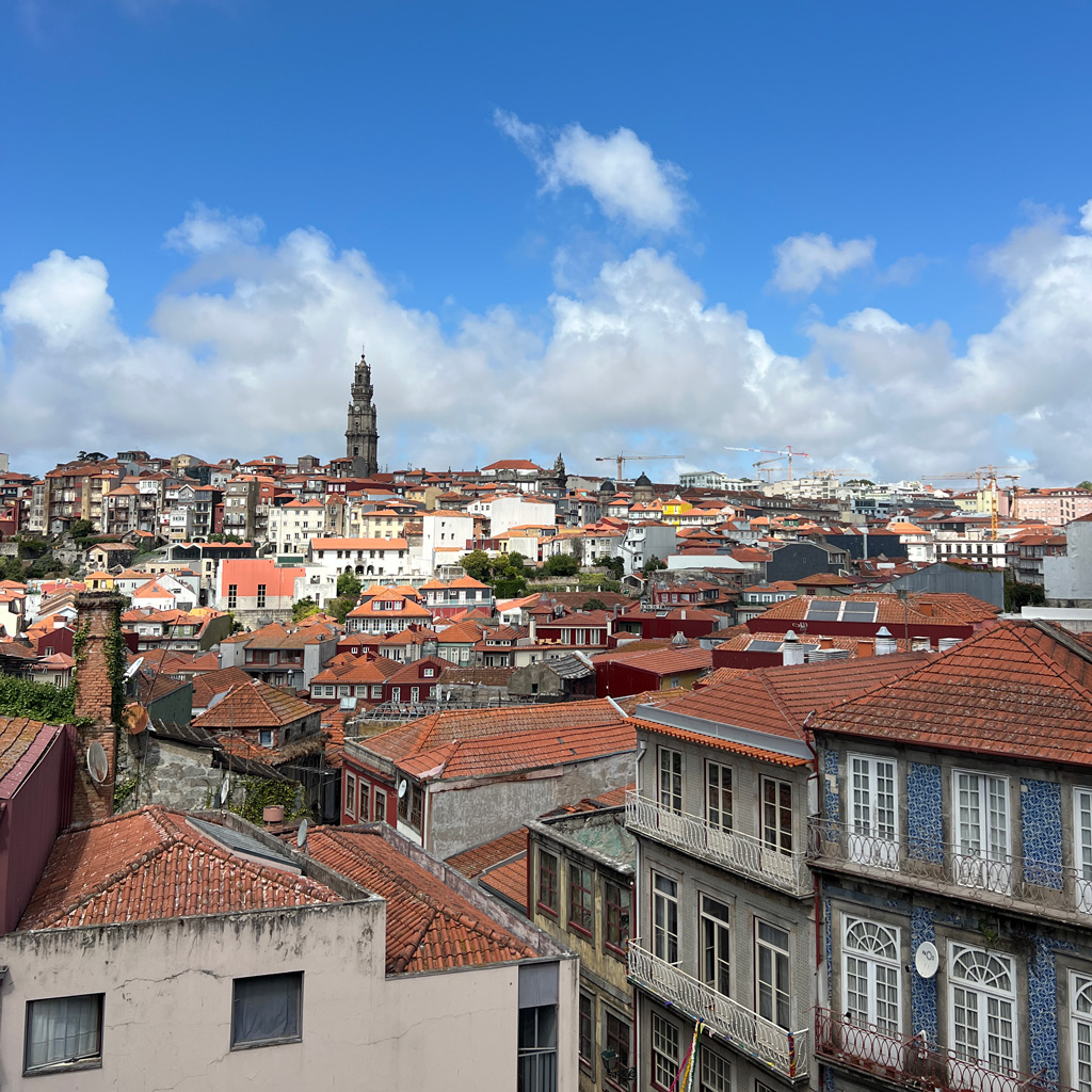View from Porto Cathedral Terrace